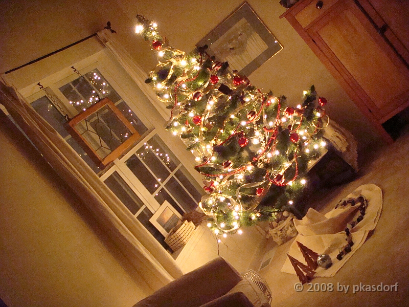 038 A2 Snowfall & Trees [2008 Dec 20].JPG - Our Christmas Trees for 2008.